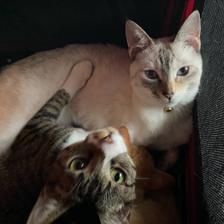 286e580d df1a 438d 910b 0a9bab4439f4 1658113874038