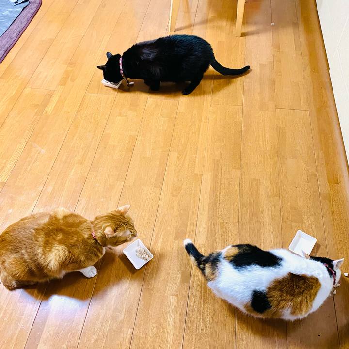 286e9abe 639c 4634 b261 4ee7843ad251 1700317312993