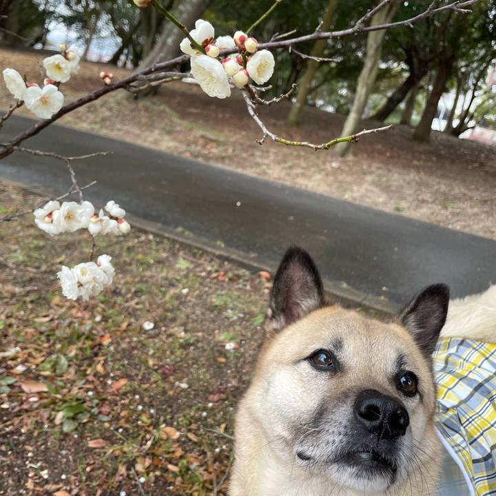 286eb16f 2e88 4913 b0ca f93da5d43da9 1676708985735