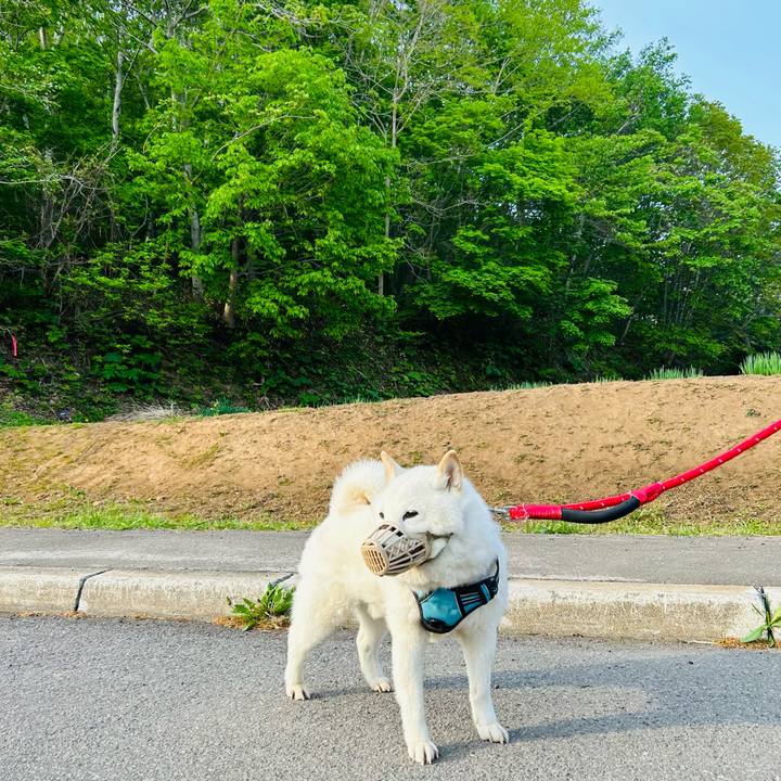 286ed24a 3ddd 4827 829c 1a7449c327cd 1684359915167