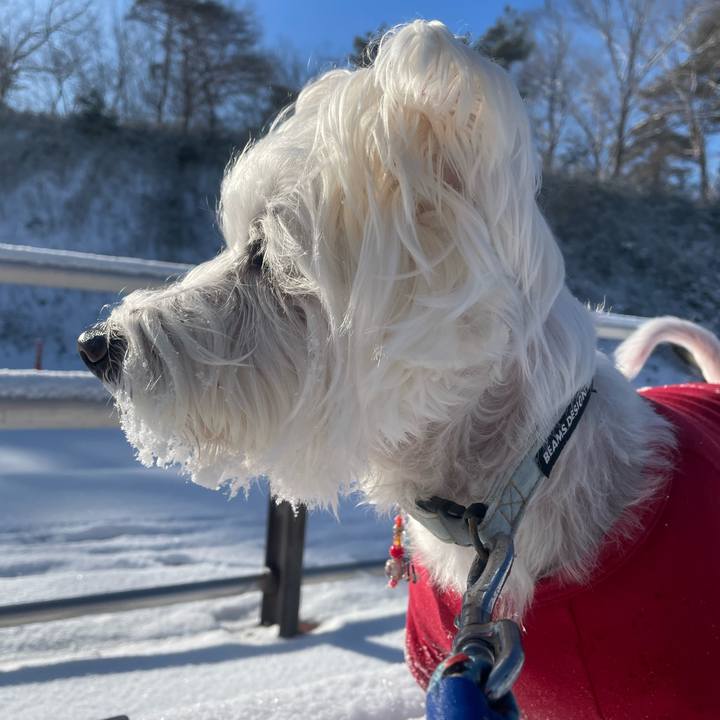 286f2879 178f 483c b822 ea04af7d2516 1769135069165