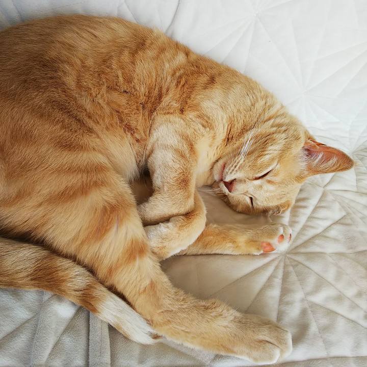 286f3678 867f 4bc2 86dc bc4121fec048 1632100286706