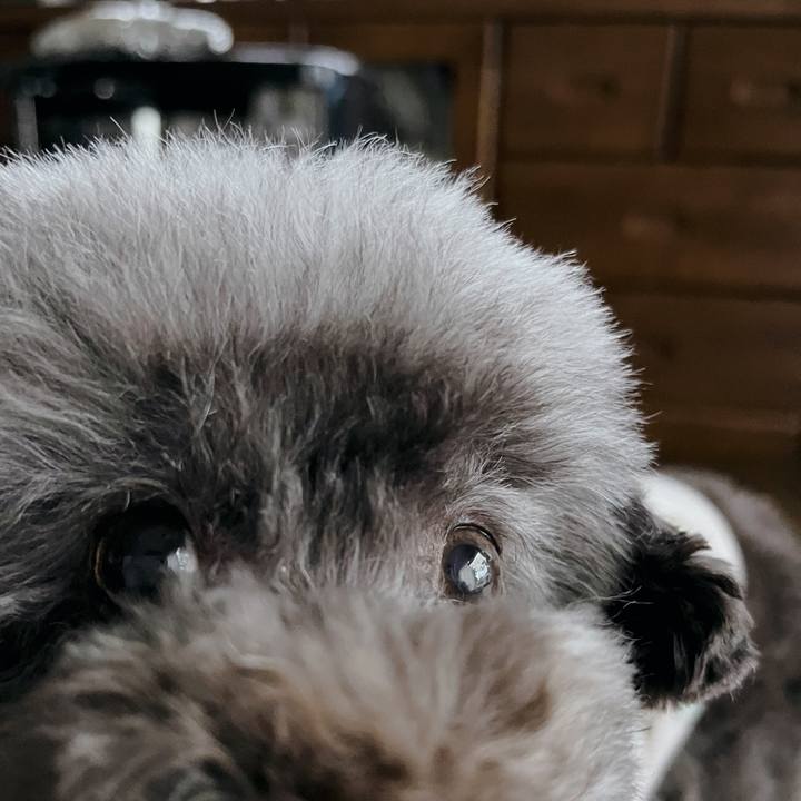 286fb44c 4dca 4eae aacb 5dd003648322 1669700326216