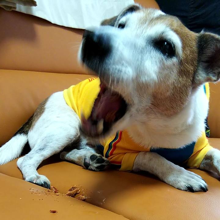 286fb7ef 6c9a 4a21 a8a2 508ff2b37315 1542531418256