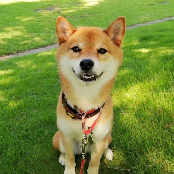 286fbdb1 bc4c 4c2a 9728 d835975f9e32 1593648741169