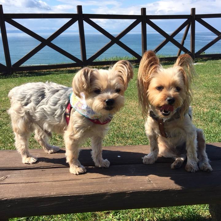 286fc7c5 0313 4175 b969 ef786c0d45f0 1537950678843