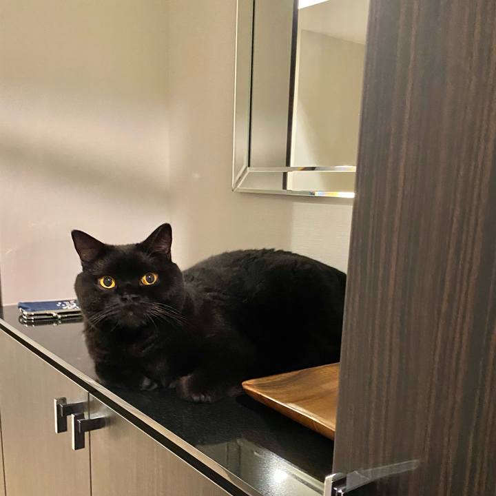 286fd213 a3de 4260 8968 7a925a6e0dea 1662459371211