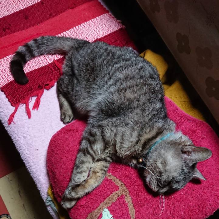 286fe12d e873 44e0 b536 ebdf26010a0b 1553940068036