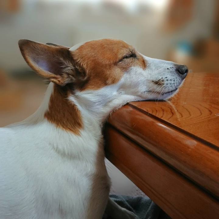 286fe739 0583 4b5e b8fe 353c8e3763d4 1764080946563