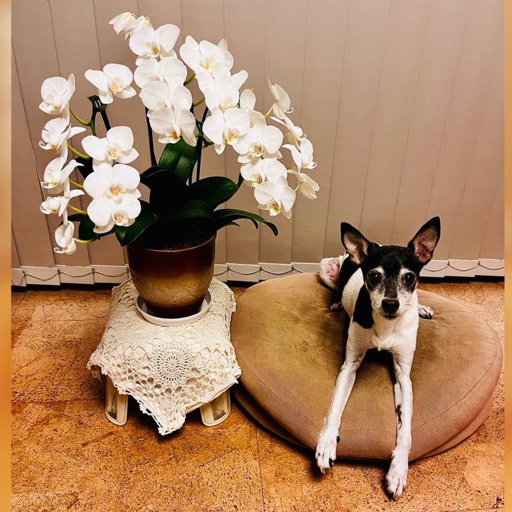 286fec77 d9d1 4fd2 a9a1 c97209387fe0 1636259491254