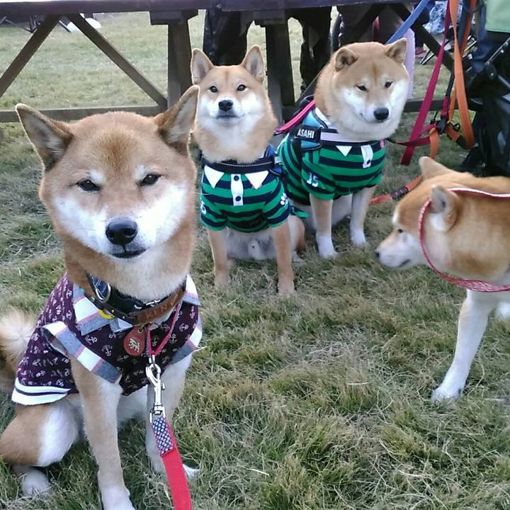 2870035c 8237 4c48 bc80 a97146d453e6 1573911729006