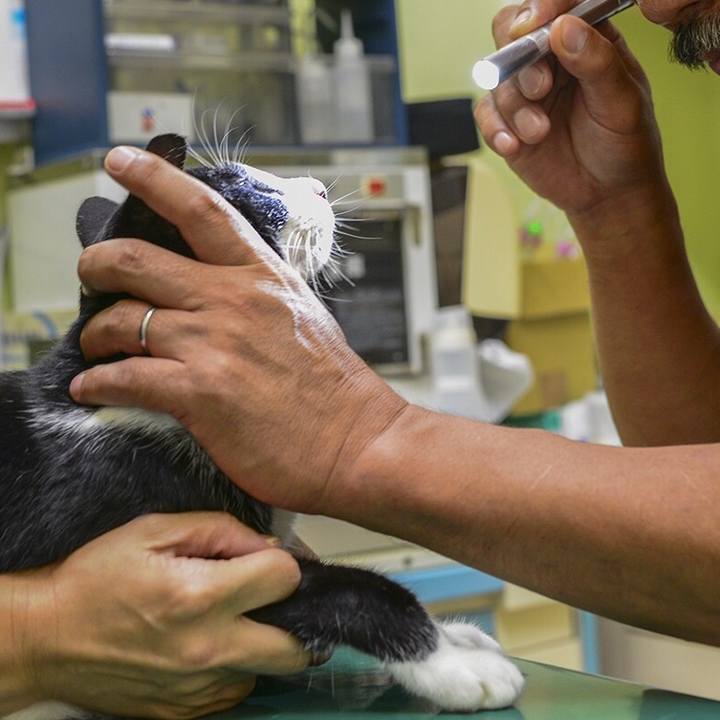 28700bab 5eb3 4511 b7d8 bc580053b38c 1537043828066