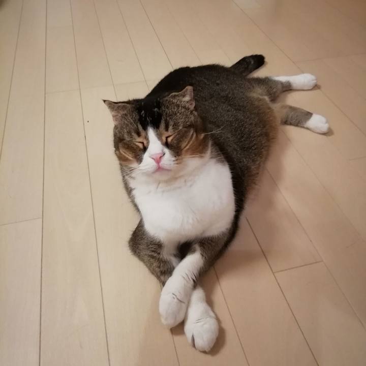 287068e0 b8e7 4206 a8ae 89d0cad81125 1570720663074