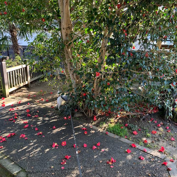 2870898d c201 4dc4 9cc9 63ef879d98c2 1584235020437