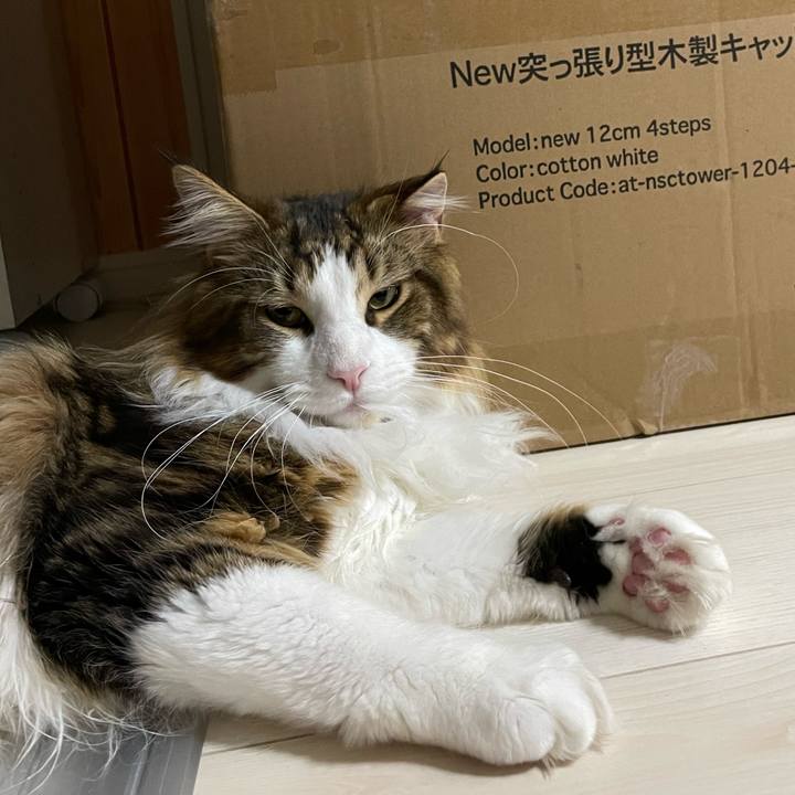 2870e69c f1fa 43e8 acbc 8b3b2a4b69cd 1649847956942