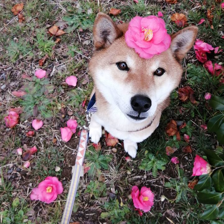 2871622f d82e 4e09 ba4f b0eef491b9a0 1581923323884