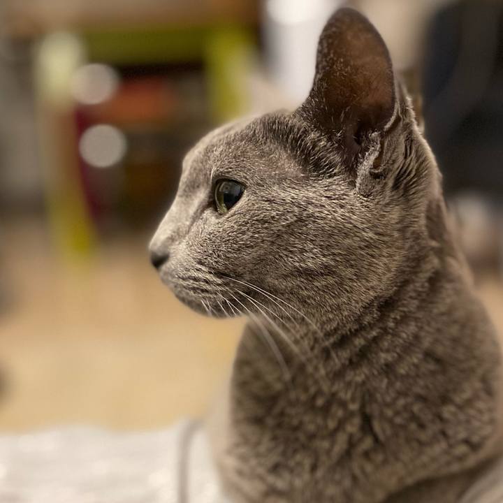 287177f5 0524 4819 8159 326572c64ea7 1605707067597