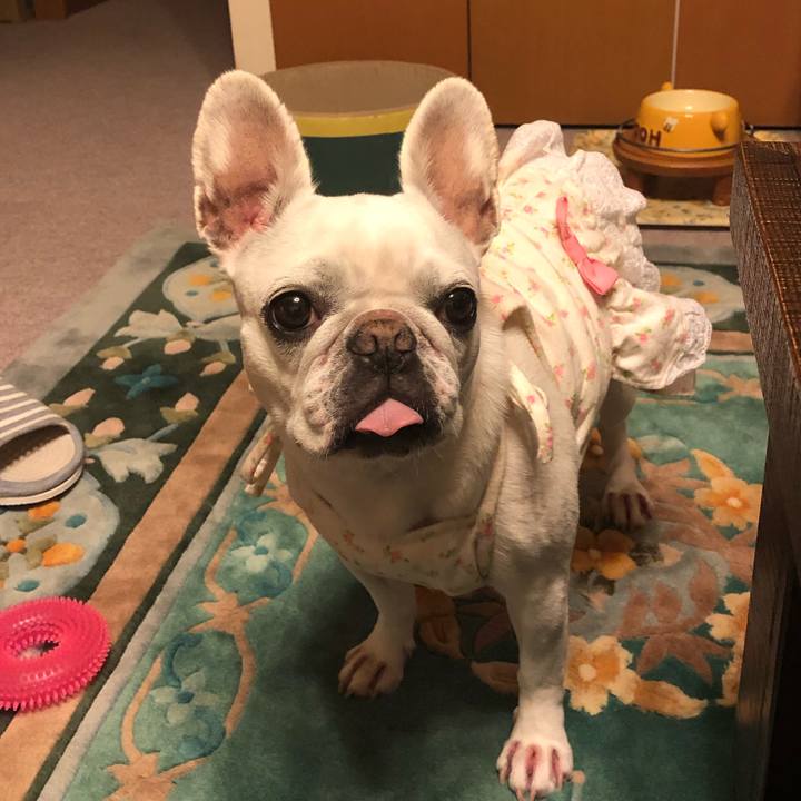 287179b2 9b44 488d 8066 27f3e76d41e0 1587379685315