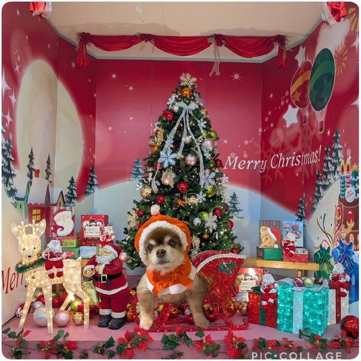 2871a29c ba37 43b2 b9fb ddc82f3a8315 1766528342276