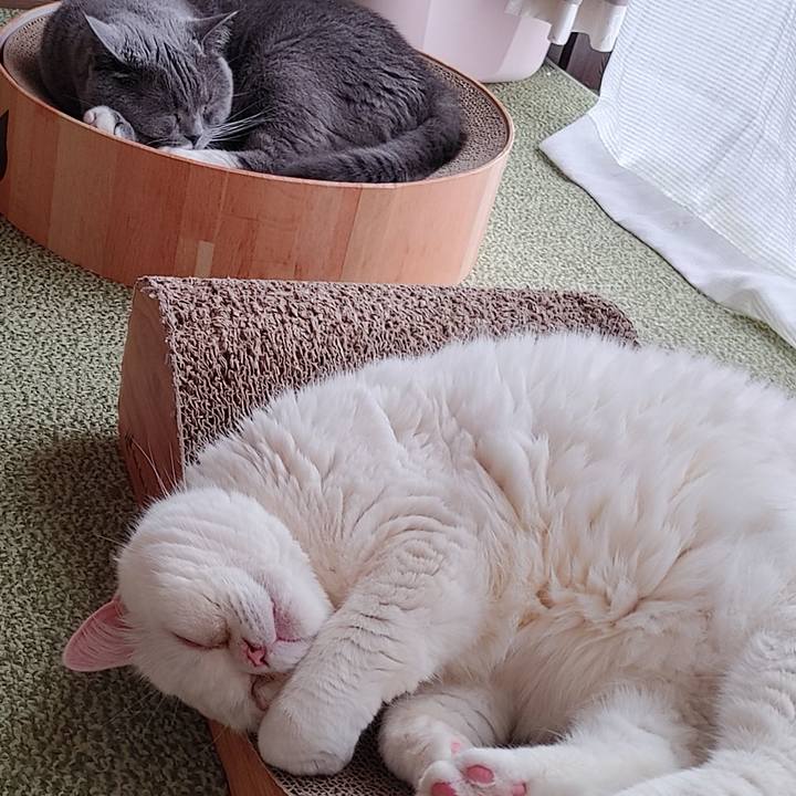 2871e96c fa52 46f3 9b8a 475f26a4cad3 1683421127359