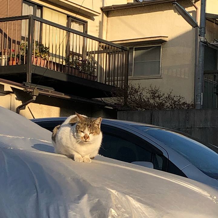 28720ca3 b823 4309 a67c f18fcb74a034 1547194991912