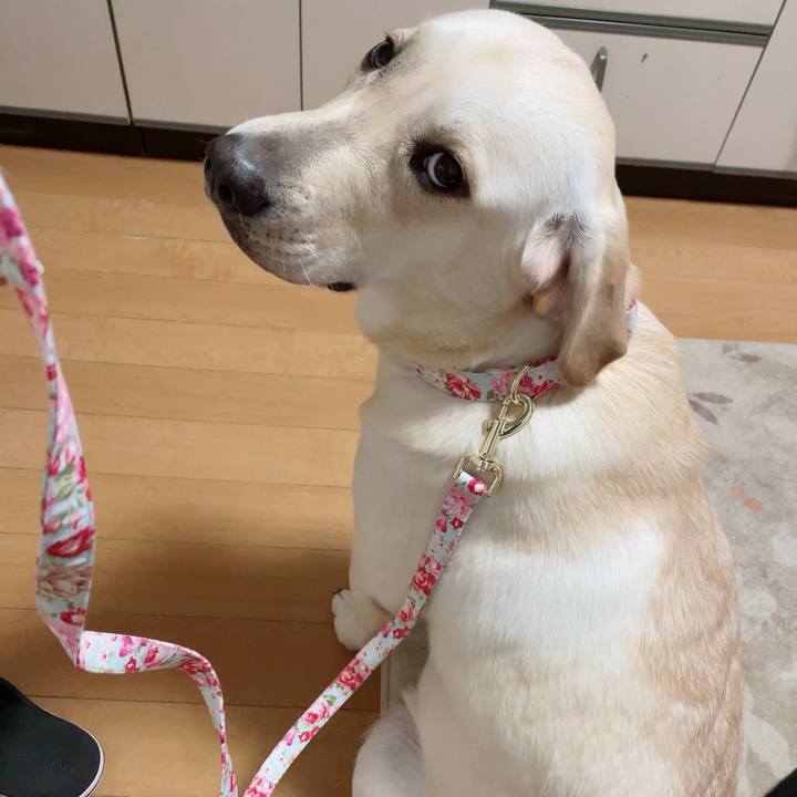 28726bcc 13e7 4511 af02 1dc2e3c540d6 1636538625090