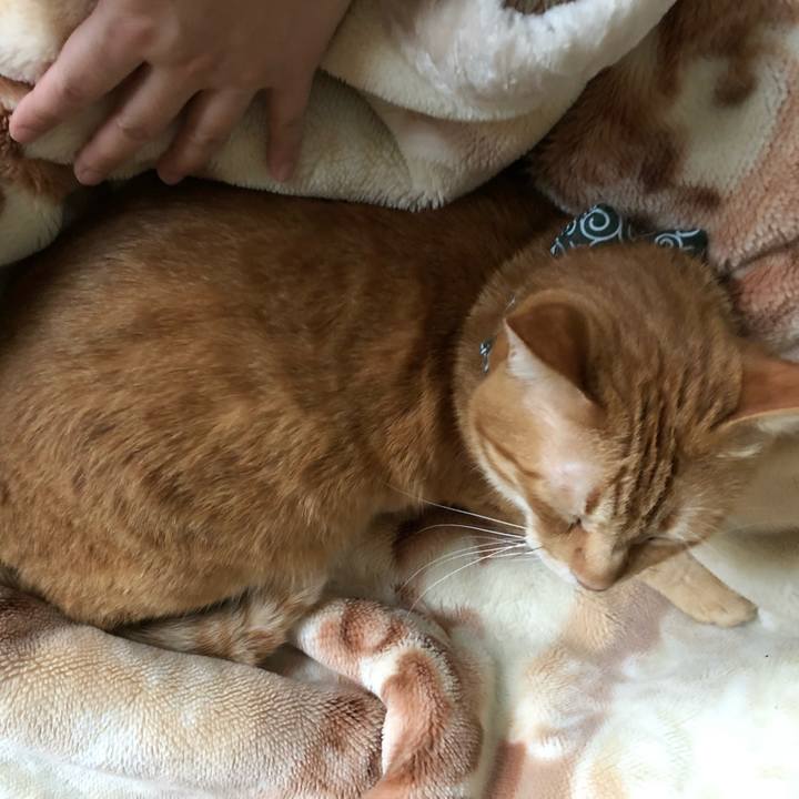 28726d7f 281f 430b b709 6e0bc8ee853f 1559680632706