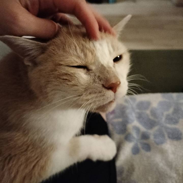 2872711e 4abf 4d6a a7ff 662bbcfd6c22 1660909406077