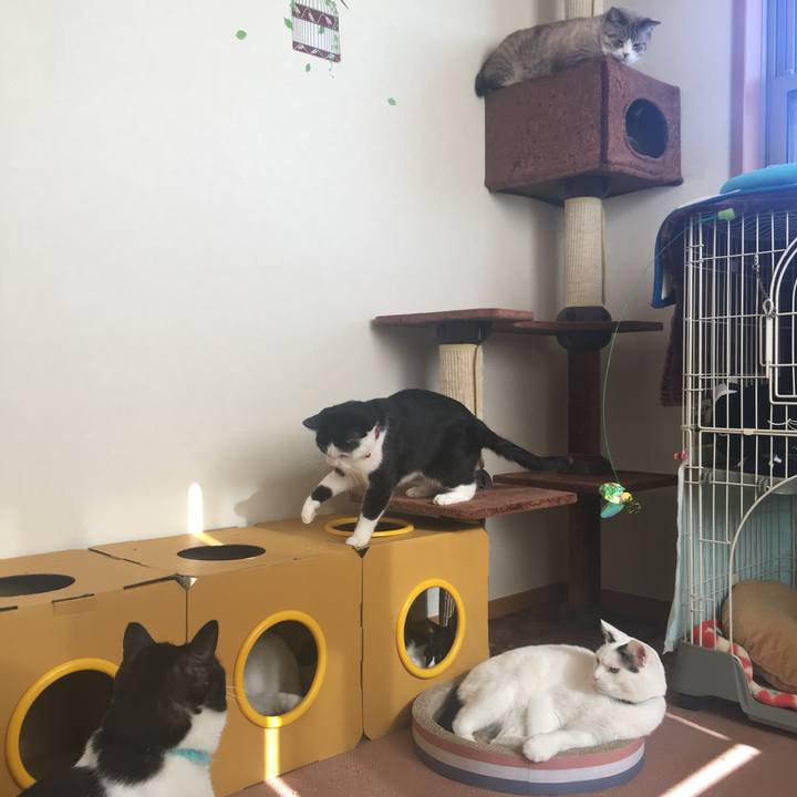 2872a072 4a36 43e5 a468 52387d803f56 1514514012776