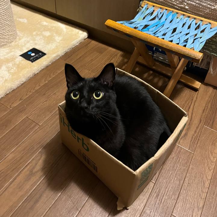 2872cea6 143d 4286 bedf 000f72084243 1695035514110