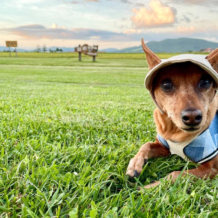 28731a8c 6ee6 4989 bf70 97e7419d7a16 1691751732070