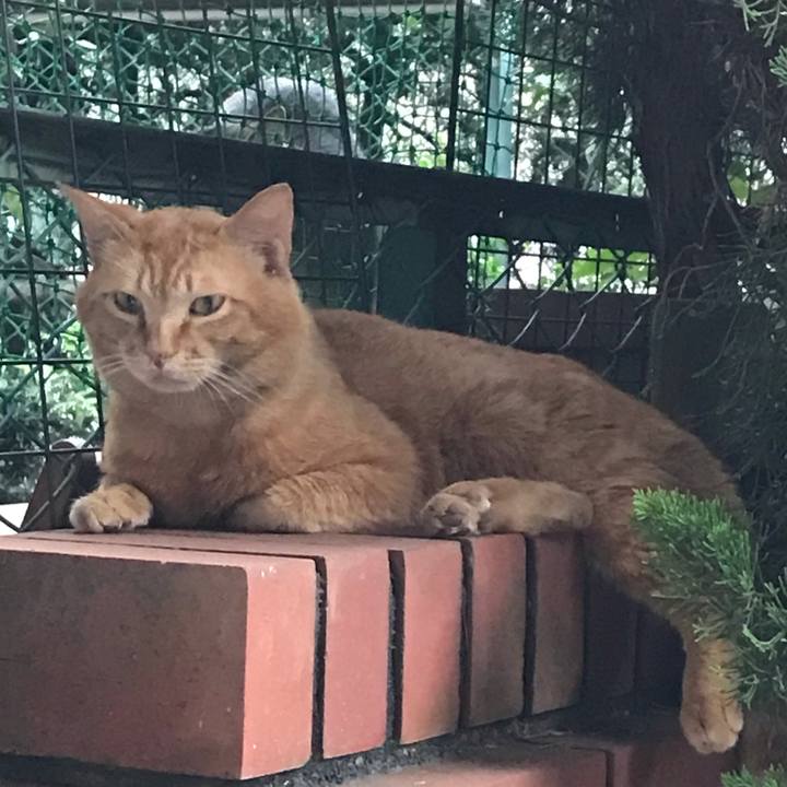 28731bc8 530a 4435 a4b3 2485e0f74b1e 1623065658344