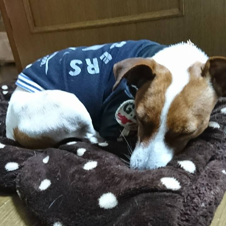 2873278b 2158 48ba a898 2af886329d05 1610519986397