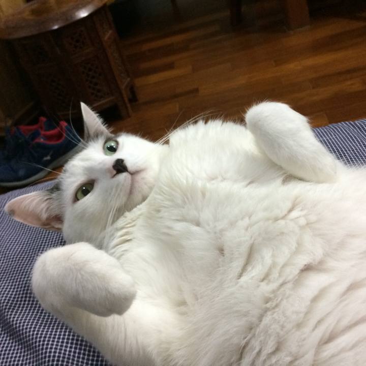 28735429 8354 4cbc 8aac b922cdd53add 1554912375615