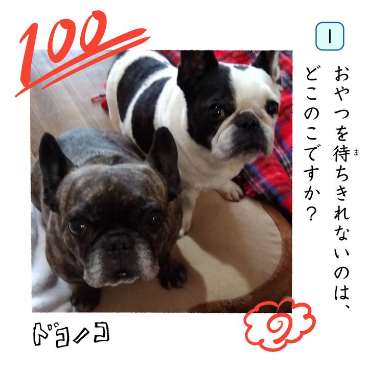 287357af cde3 424e 99fd 099f34c6efac 1744366642149