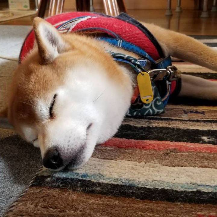 287361cb 077d 45b5 8582 65ec19a3c9a1 1544232311962