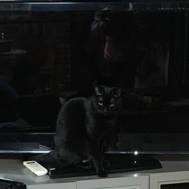 287368a4 0aac 40a8 b0d5 3a1dfff406fb 1520257034647