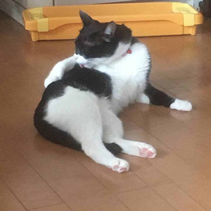 2873754d a51e 450d b08a 6110dbd97e8a 1621776361639