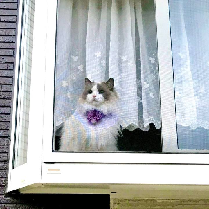 287376e6 a939 4faf a795 b7b5d8832673 1621585913489