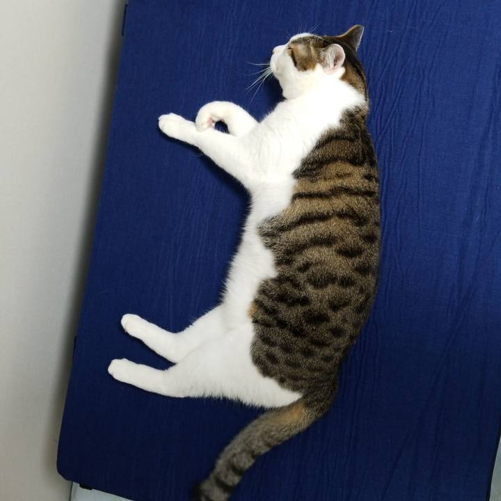 28738716 276c 4747 ba77 fd828b86364f 1569195462605