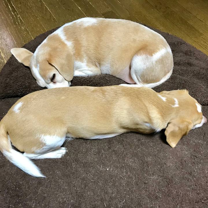 287396ef 033c 4449 adf6 c84b7b6cd09a 1544522341161