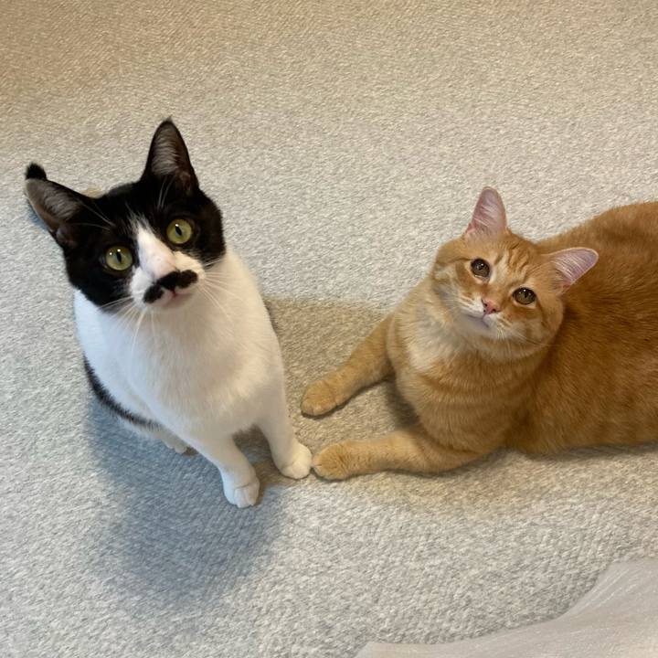 2873cce8 0d8e 4718 924f 9270740367e1 1772365806950