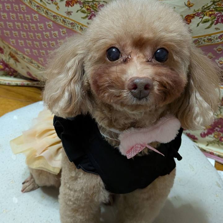 2873fa87 baa8 41e9 99cb 4339fdb9bb17 1762060479463