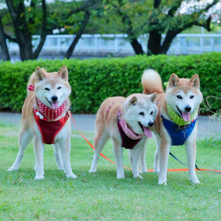 28746351 438b 4ce3 9f37 c1e3ecb20963 1757347207910