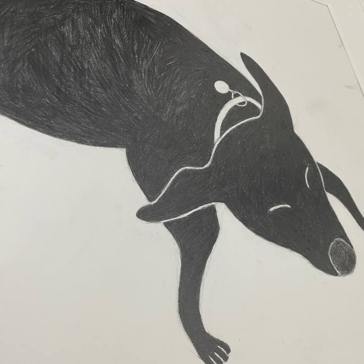 28748175 a03c 4a00 96af b2a2524484a9 1637234923364