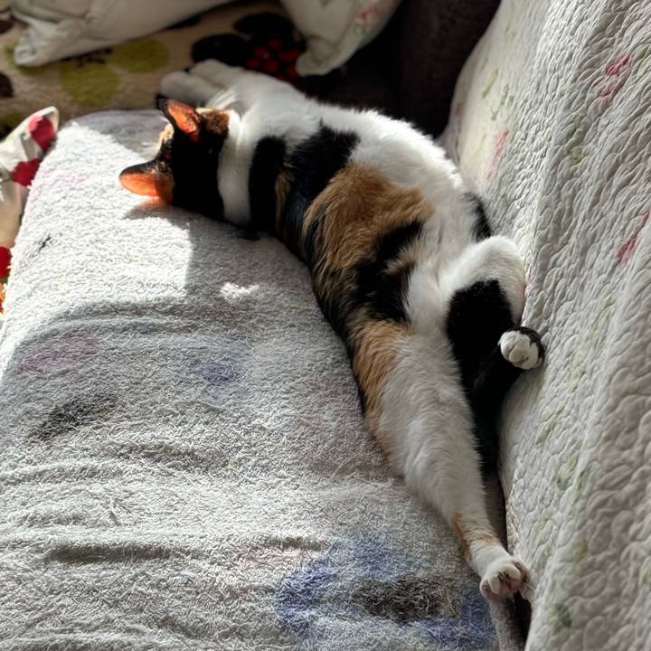 2874e103 21a9 4b32 a8a8 10367953243c 1768481391378