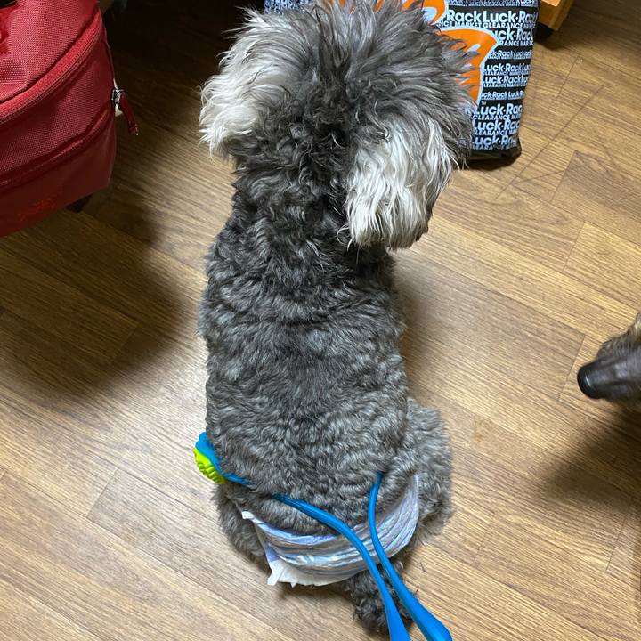 2874e46c 7a27 4f77 b9f3 ec4111ebbe1a 1588174625770