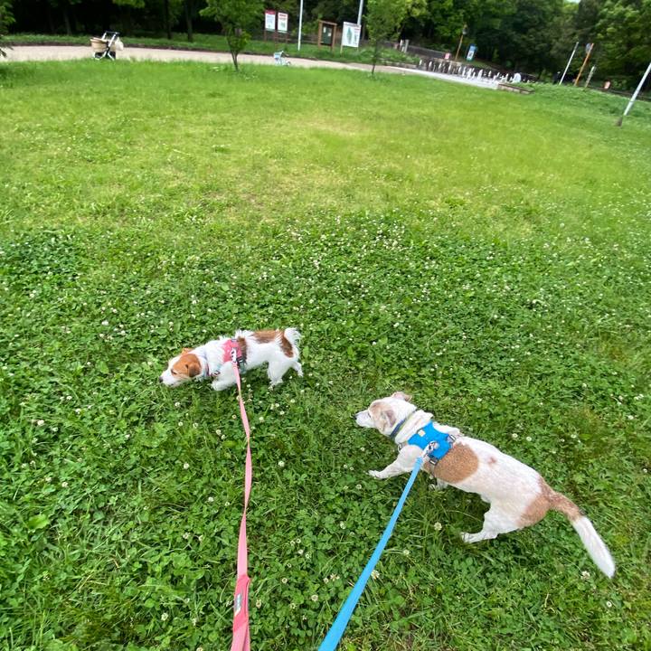 287506bb b587 4e76 8e58 4cba10740801 1715082262234