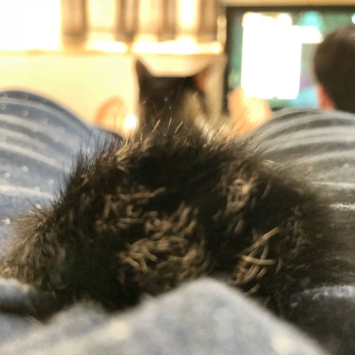 28751e38 0196 434d aea3 66acff22b90b 1536265722490