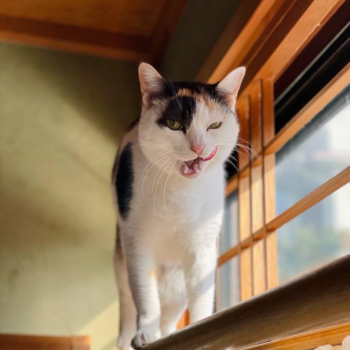 28753e79 835b 40e7 99f7 5ab4e8783fe4 1649813437776